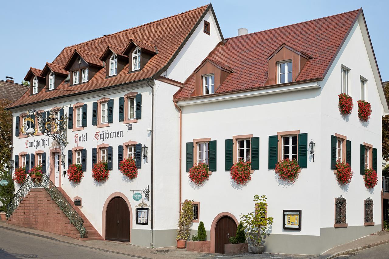 Ferienhaus Rheintalblick Bad Bellingen Exterior foto