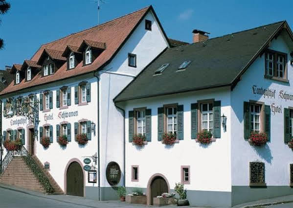 Ferienhaus Rheintalblick Bad Bellingen Exterior foto